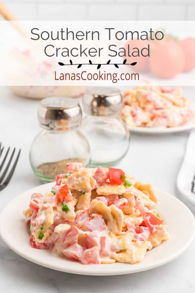 A serving of tomato cracker salad on a white plate.
