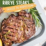 A grilled citrus-marinated ribeye steak garnished with rosemary and orange slices sits on a gray tray.