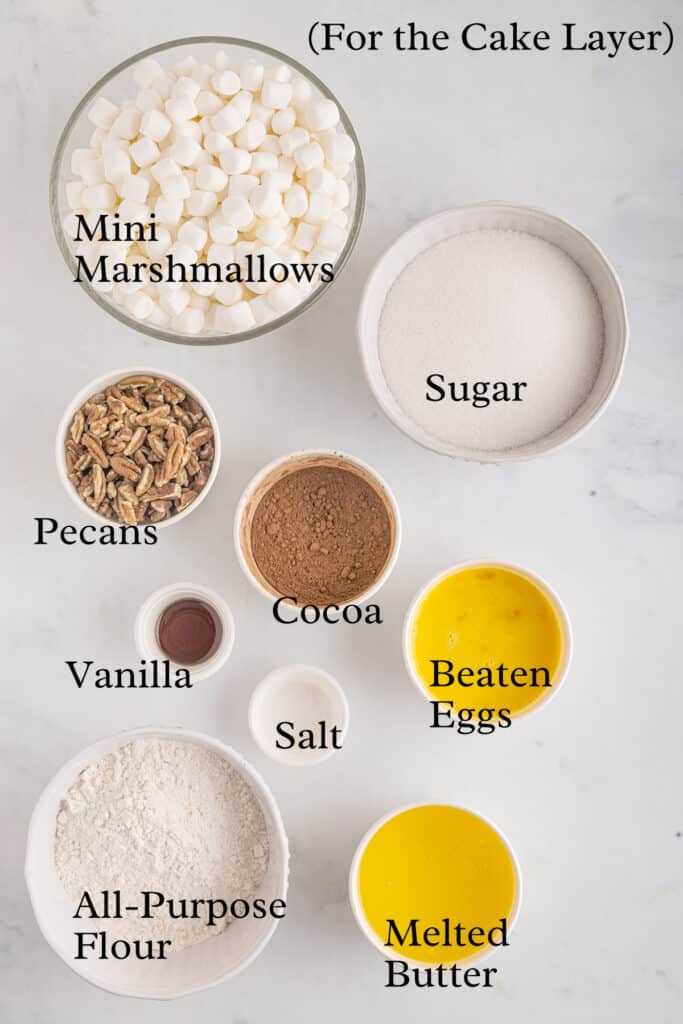 Ingredients needed for the cake layer.