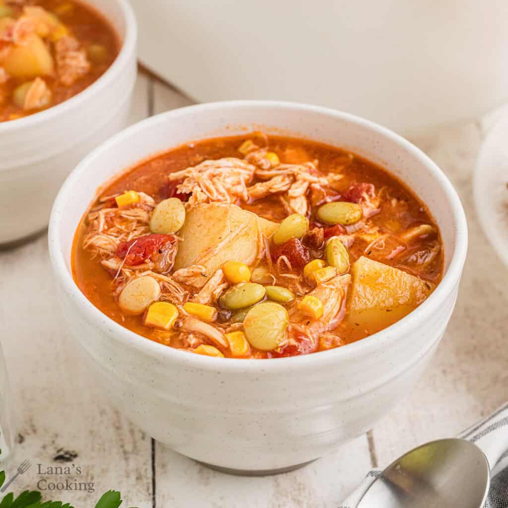 Brunswick stew in a white bowl.