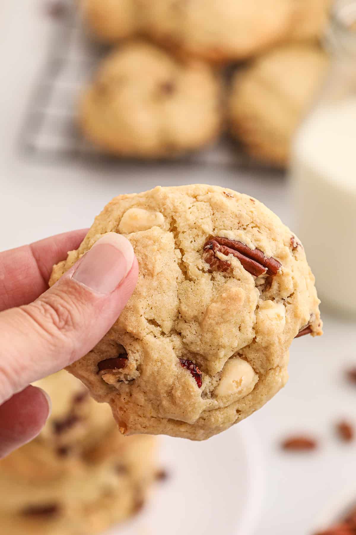 A cranberry pecan cookie held in a person's hand.