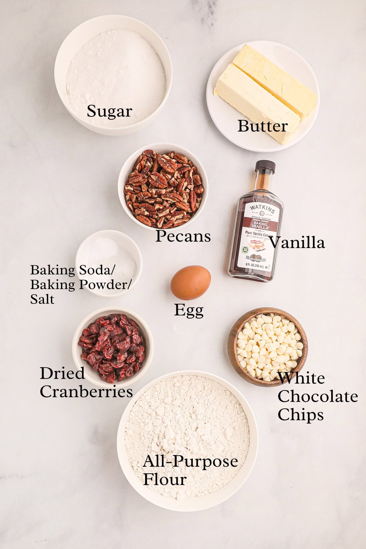 Top-down view of labeled baking ingredients: sugar, butter, vanilla, egg, pecans, dried cranberries, flour, and white chocolate chips.