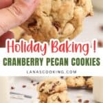 A hand holds a cranberry pecan cookie; stacked cookies and ingredients are shown below with festive text overlay.