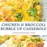 Baked chicken and broccoli casserole topped with melted cheese, served on a white plate.