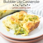 A serving of cheesy chicken broccoli casserole on a white plate.