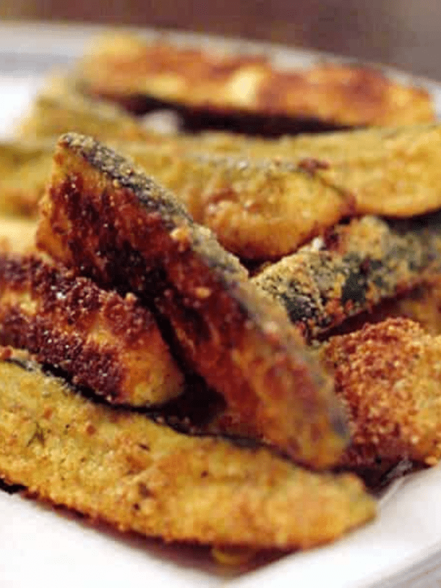 Oven Baked Zucchini Fries Story
