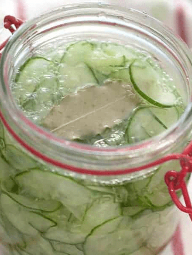 Quick Pickled Cucumbers Story
