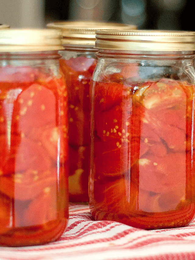The Best Home Canned Tomatoes Story
