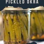 Finished jars of pickled okra.