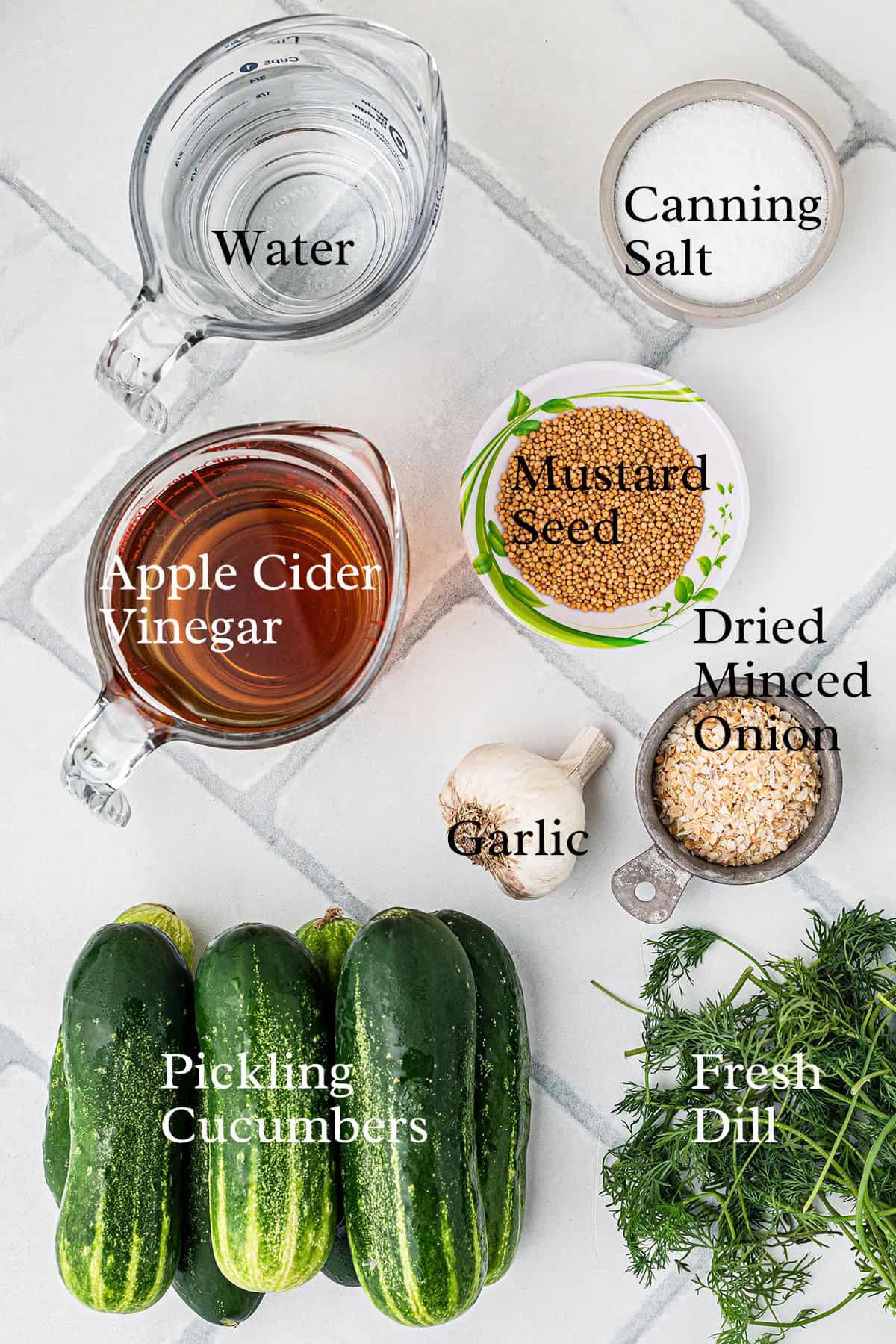 Top-down view of ingredients for pickling cucumbers: water, canning salt, apple cider vinegar, mustard seed, dried minced onion, garlic, fresh dill, and pickling cucumbers.