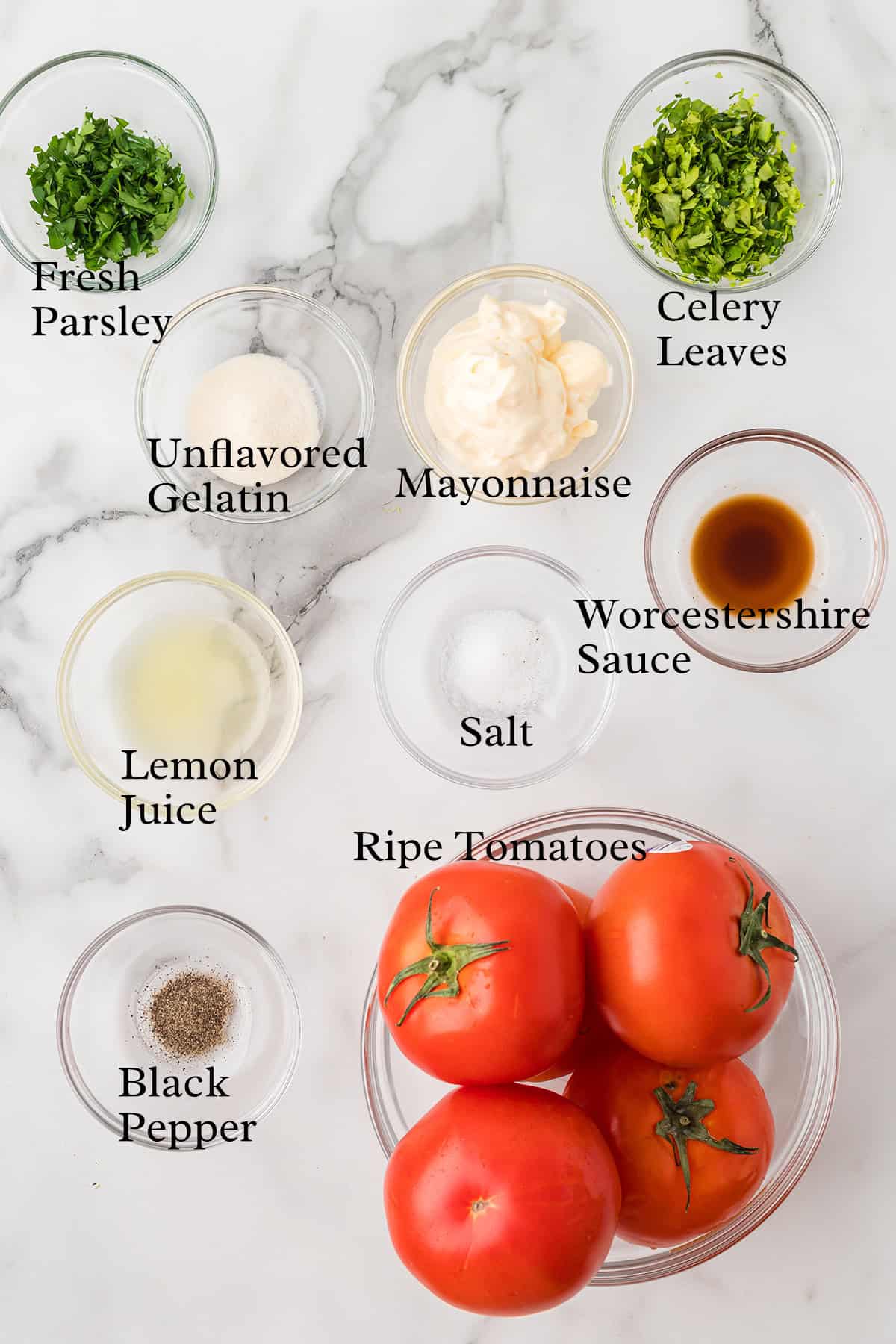 All ingredients needed to make tomato aspic.