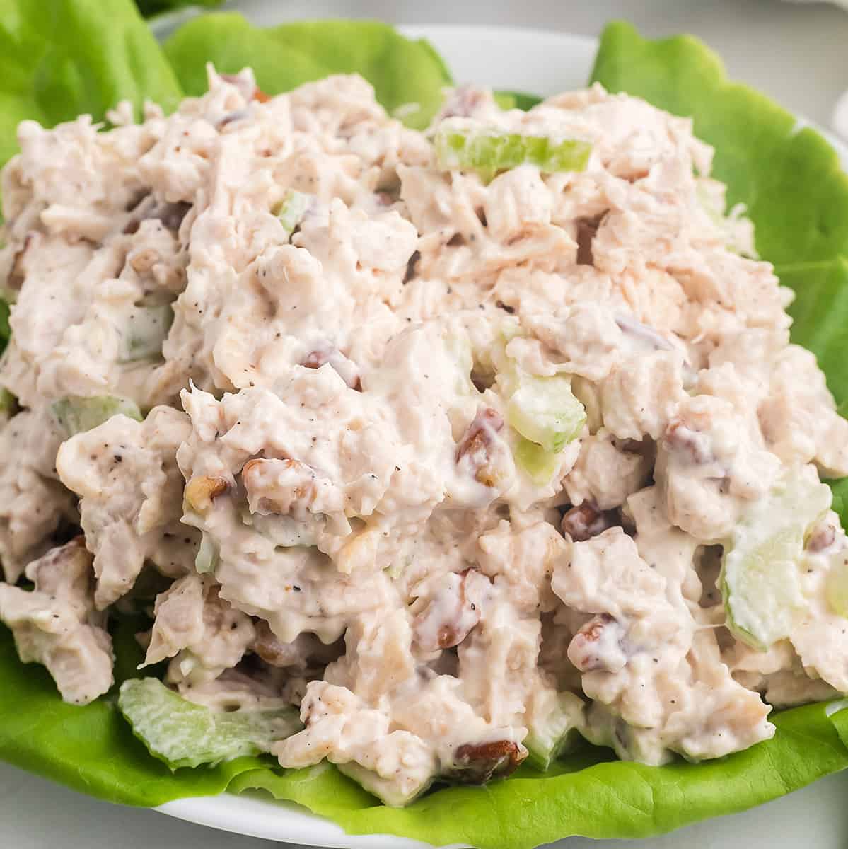 A mound of chicken salad on a lettuce lined plate.