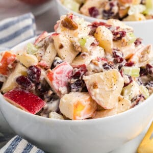 Cranberry Waldorf Salad