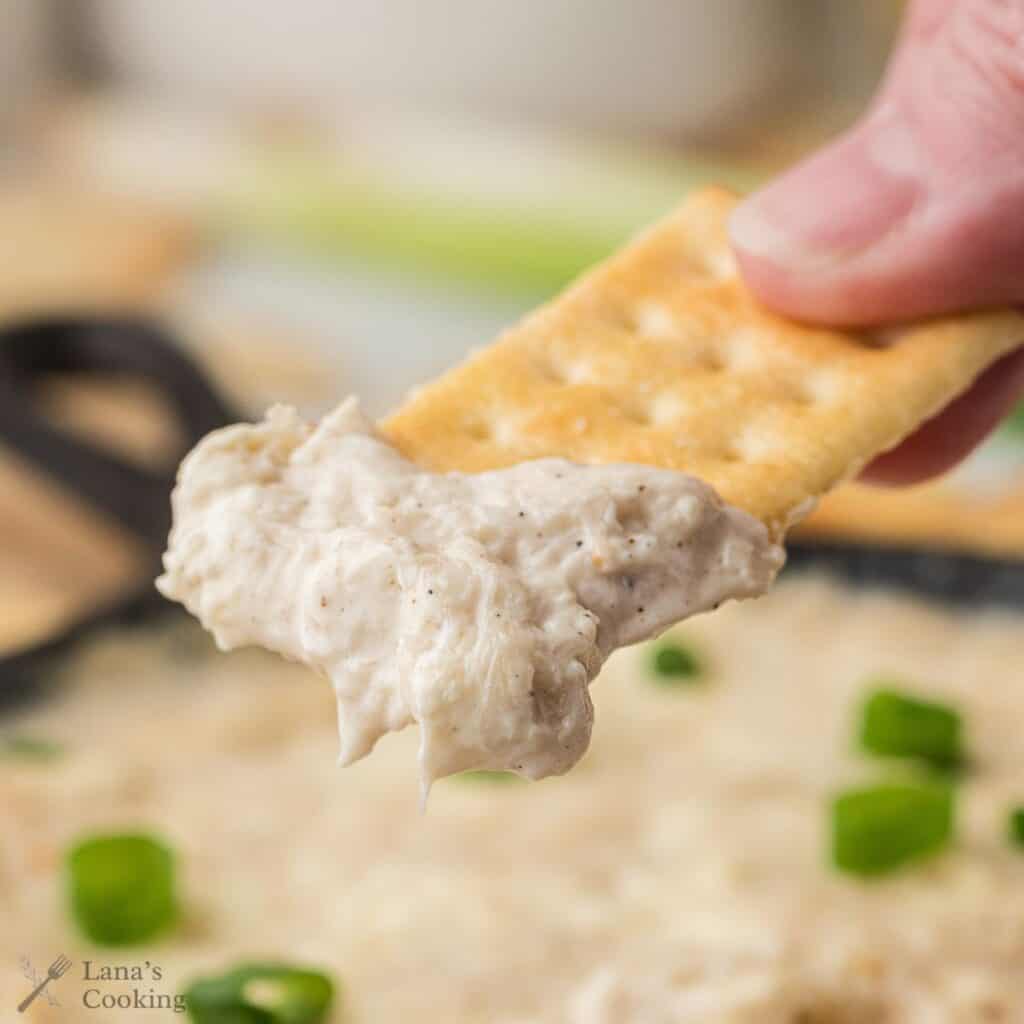 A hand holding a cracker topped with creamy dip, with green onions in the background.