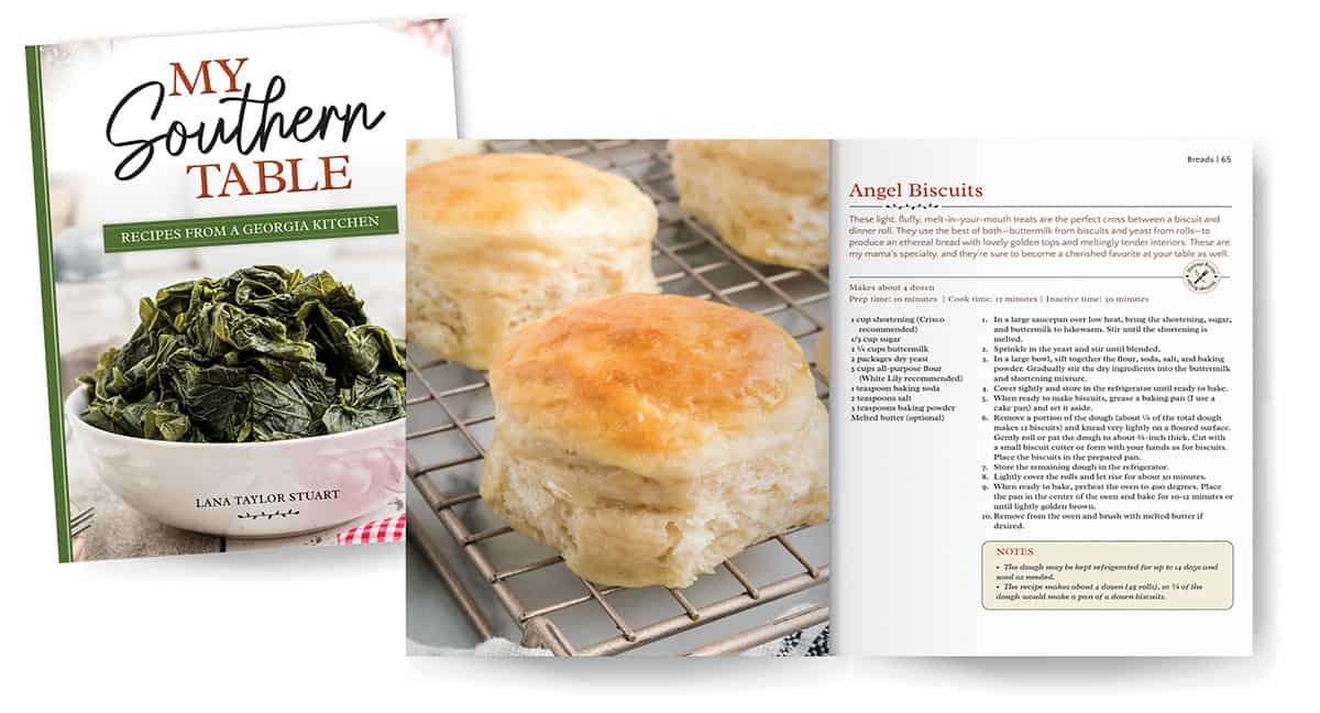 Mockup of cookbook pages.