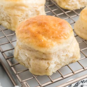 Finished biscuits sitting on a cooling rack.