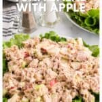 Tuna salad with apple served on lettuce leaves, garnished and placed on a white plate.