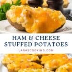 Baked potatoes stuffed with ham, cheese, and herbs, topped with melted cheese, served on a white plate.