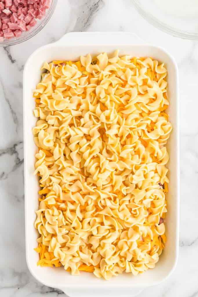 Cooked noodles added to baking dish.