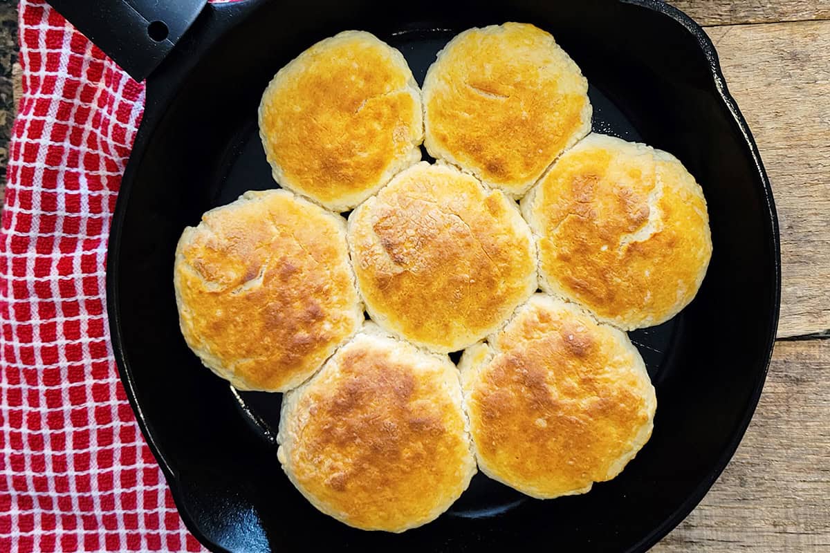 Buttermilk biscuits in a black cast-iron skillet.