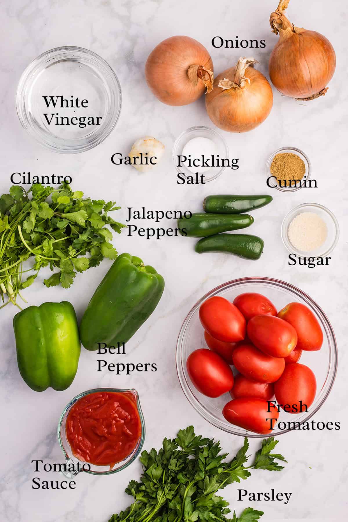 Ingredients you'll need to make basic salsa.