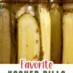 Canning jars filled with finished kosher dill pickles.