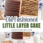 A tall, multi-layered chocolate cake with a slice cut out, displayed on a cake stand and plate.