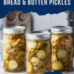 Jars of finished bread and butter pickles.
