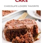 A slice of chocolate Texas sheet cake on a white plate with a fork, topped with chocolate icing.