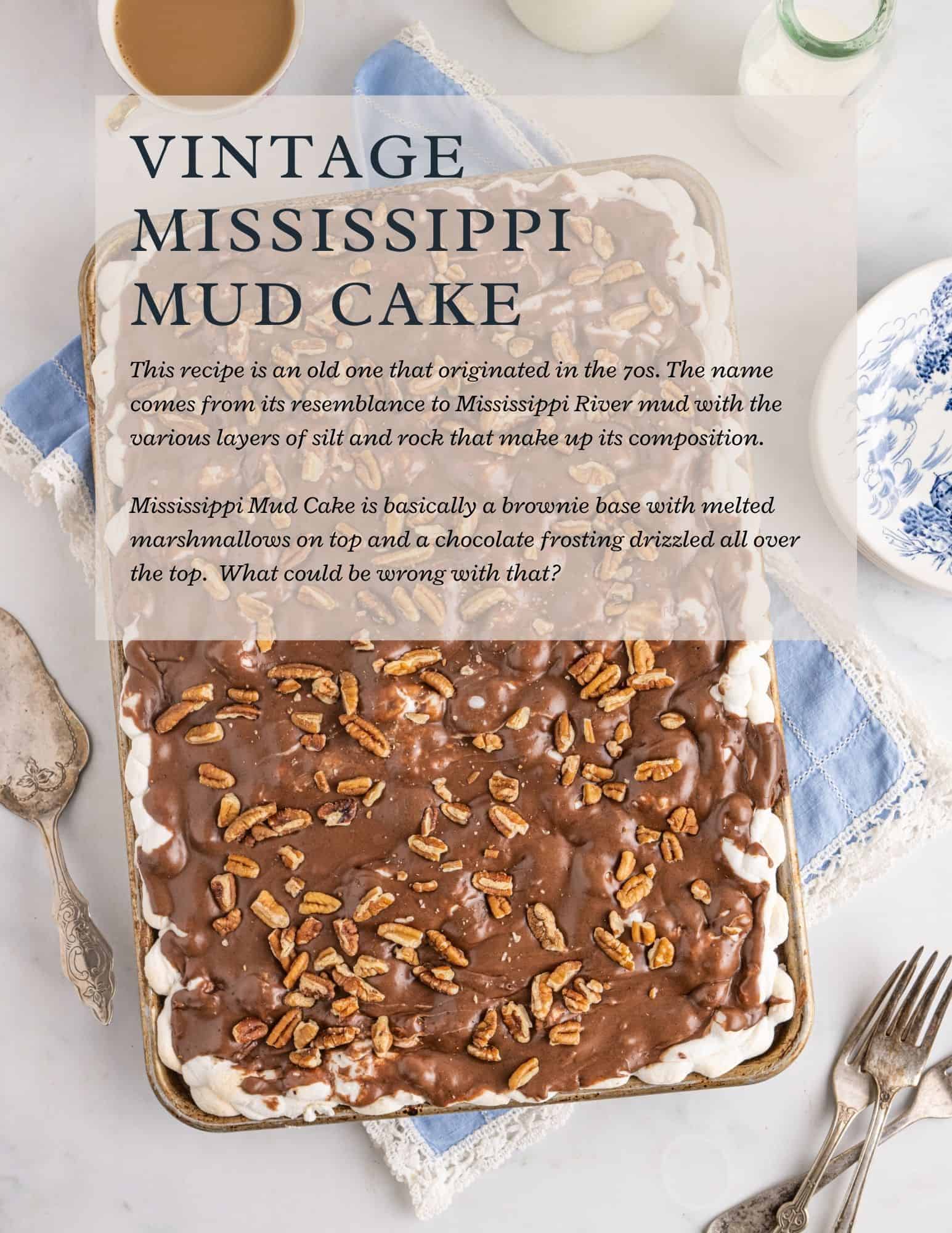 A rectangular tray of Mississippi mud cake topped with chocolate frosting, melted marshmallows, and pecans sits on a marble surface. A cake server, blue napkin, and a plate with a fork are nearby. Text about the cake overlays the image.