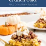 A slice of pumpkin pecan crunch cake topped with whipped cream on a plate.