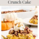 A slice of pumpkin pecan crunch cake topped with whipped cream, with small pumpkins in the background.