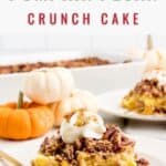 A slice of pumpkin pecan crunch cake topped with whipped cream on a plate, with pumpkins in the background.