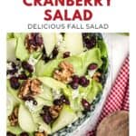 Bowl of apple cranberry salad with walnuts, lettuce, and blue cheese, styled on a patterned plate.