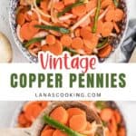 A bowl of carrot salad with onions and green beans, plus a spoonful of the salad above the bowl.