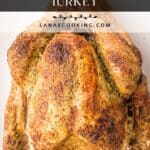 Golden roasted turkey on a white platter, viewed from above, with seasoning and crispy skin.