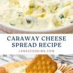 A bowl of creamy caraway cheese spread with crackers on the side, ready to serve.