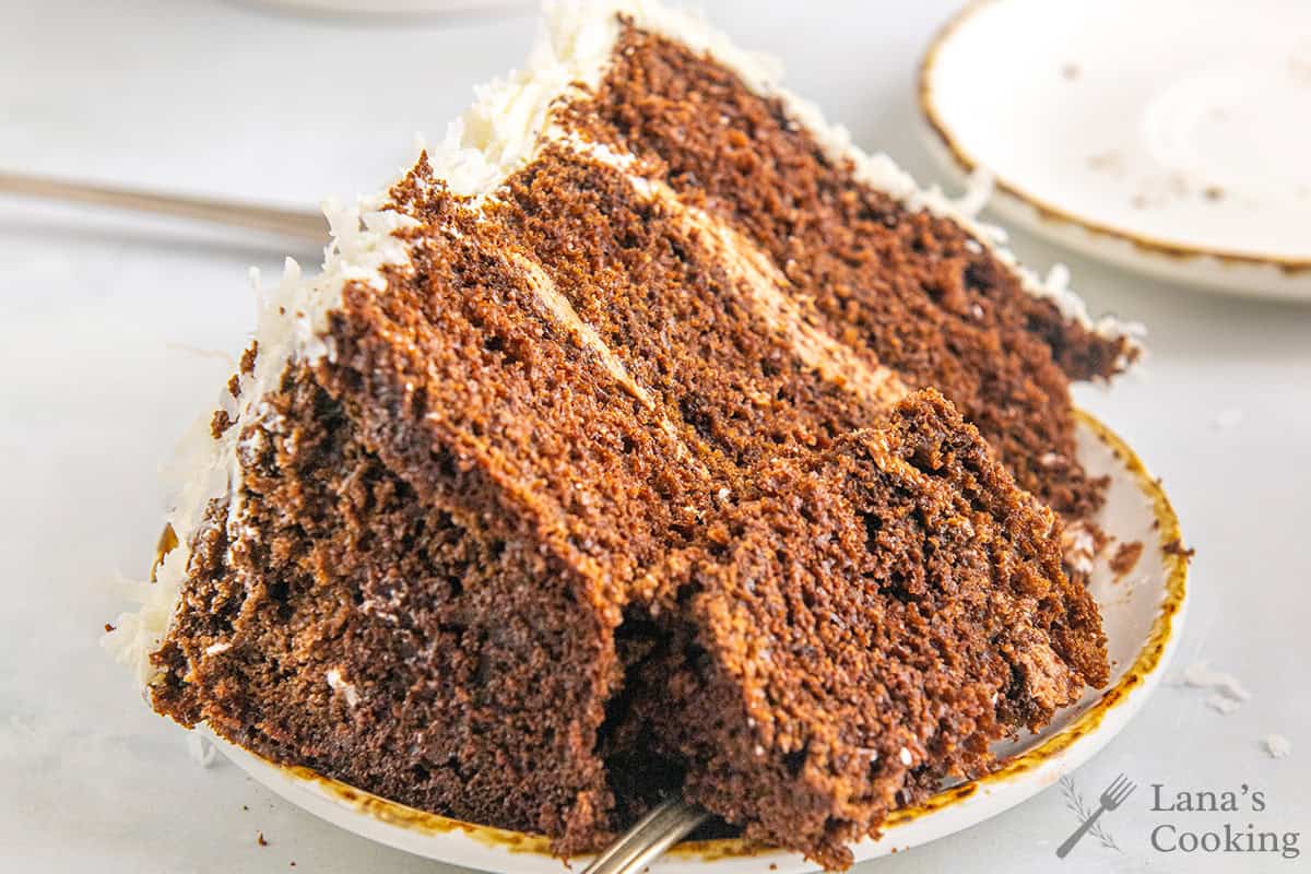 A slice of chocolate coconut cake on a white plate.