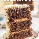 A slice of chocolate coconut cake on a white plate.