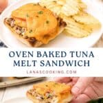 Open-faced tuna melt sandwich with melted cheese on bread, served with potato chips on a white plate.