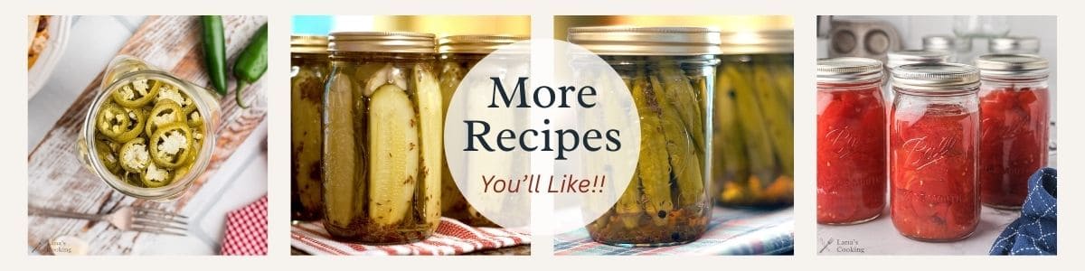 Collage of recipes featured in this section.