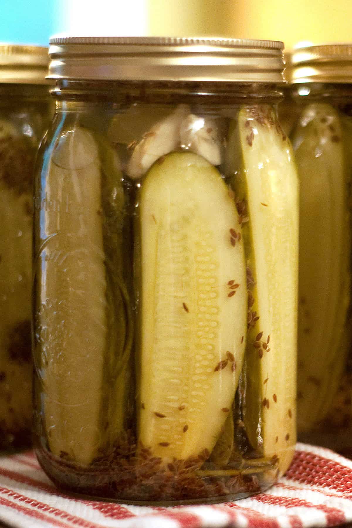 A close-up of a glass jar filled with pickles, spices, and garlic cloves on a cloth.