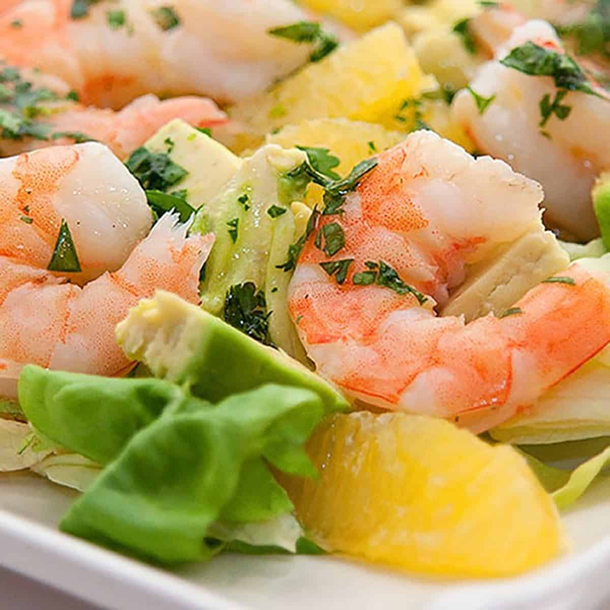 Close-up of a salad with shrimp, avocado slices, orange segments, chopped herbs, and lettuce.