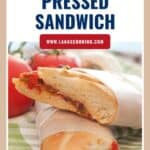 Two halves of a Mediterranean pressed sandwich wrapped in paper, with tomatoes in the background.