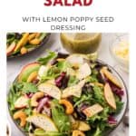 A bowl of apple-pear salad with greens, nuts, and poppy seed dressing, served with cheese on the side.