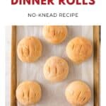 Six round sourdough dinner rolls on a baking sheet, labeled as a no-knead recipe.