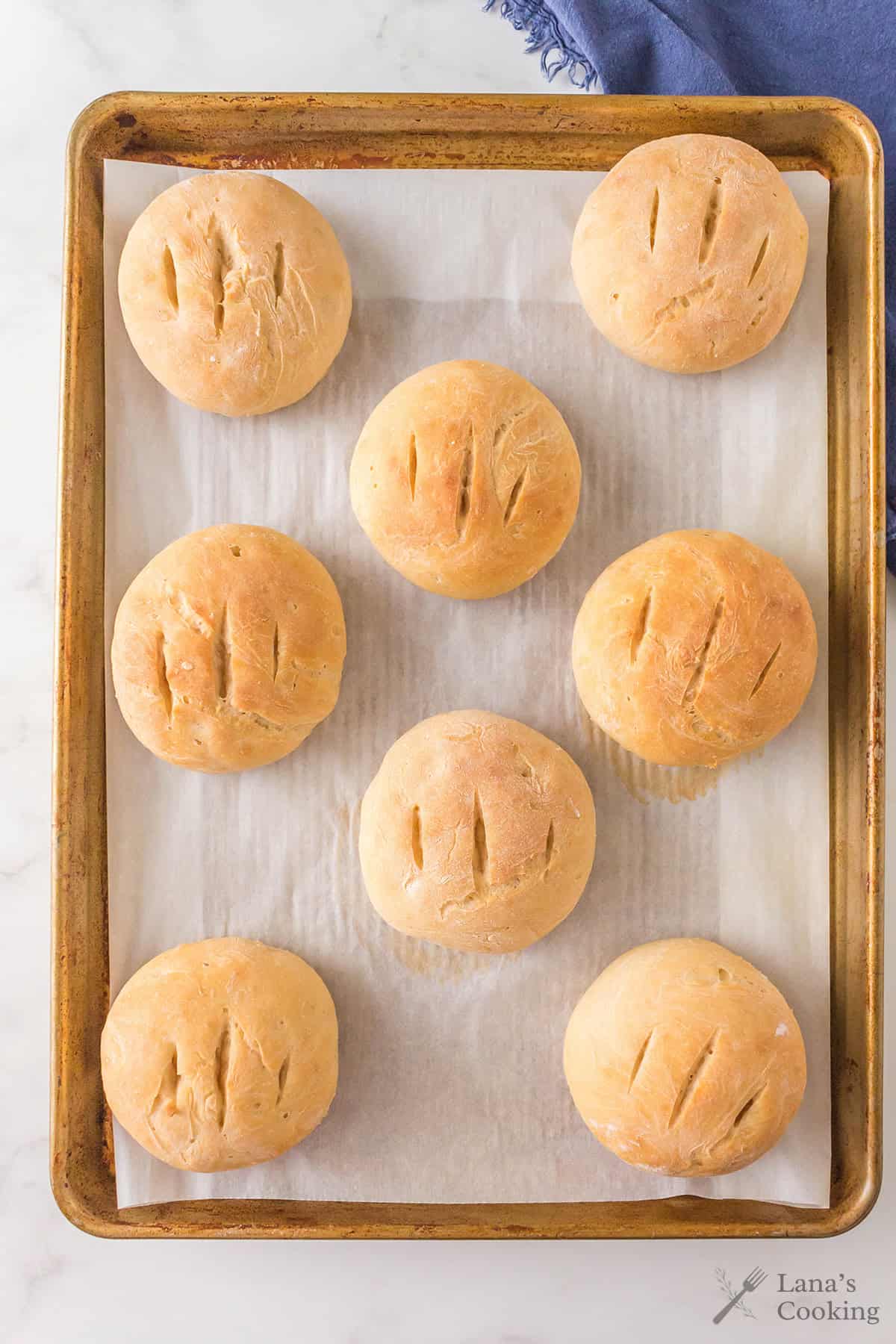 A baking sheet lined with parchment paper holds eight round bread rolls, each marked with three or four slashes on top. A blue cloth is partially visible in the upper right corner.