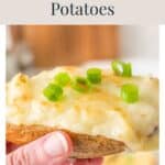 A hand holding a twice-baked potato topped with melted cheese and sliced green onions.